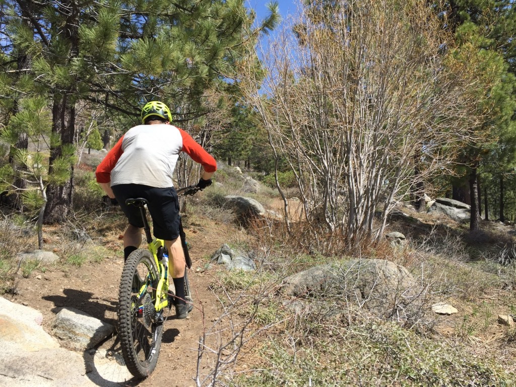 specialized phenom comp - specialized has got it going on in the saddle department, the phenom...