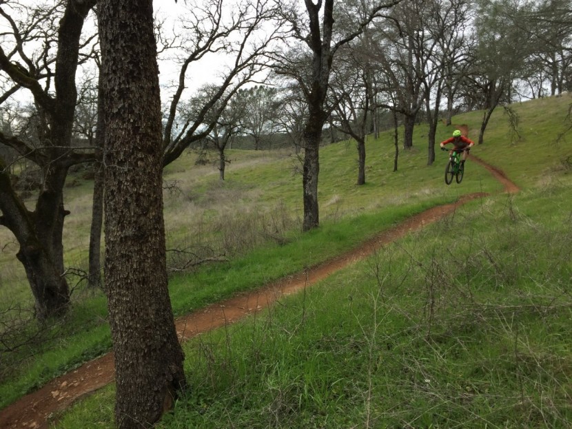 wtb volt chromoly