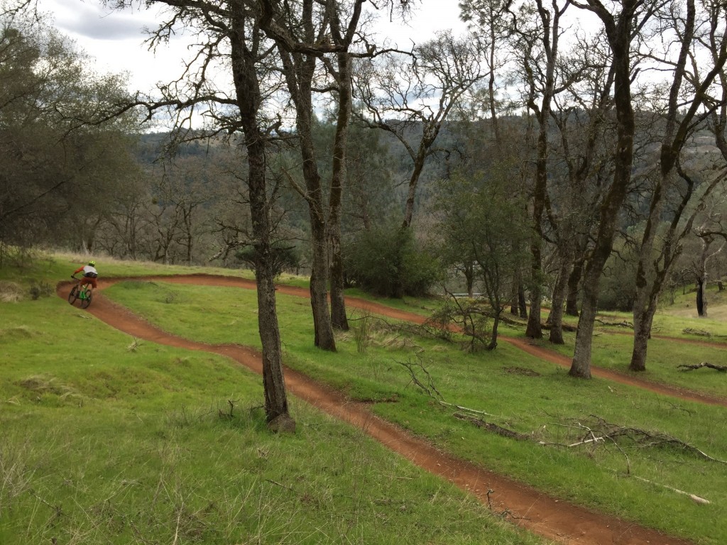 wtb volt chromoly - the volt performed consistently well in all situations.