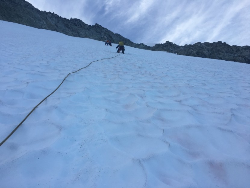 petzl sum&#039;tec - no other model climbed steep snow or ice as well as this model did...