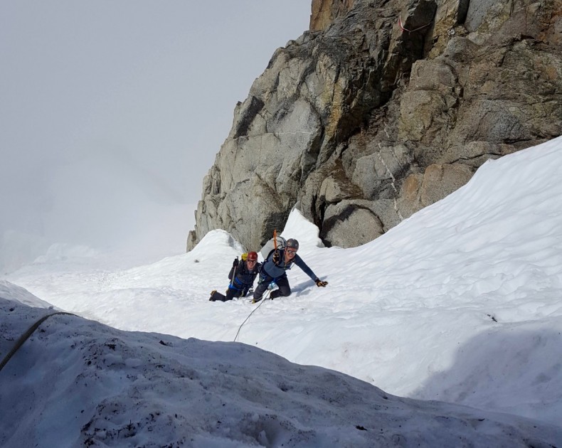 petzl summit evo - the summit and the summit evo aren&#039;t super different axes, and many...