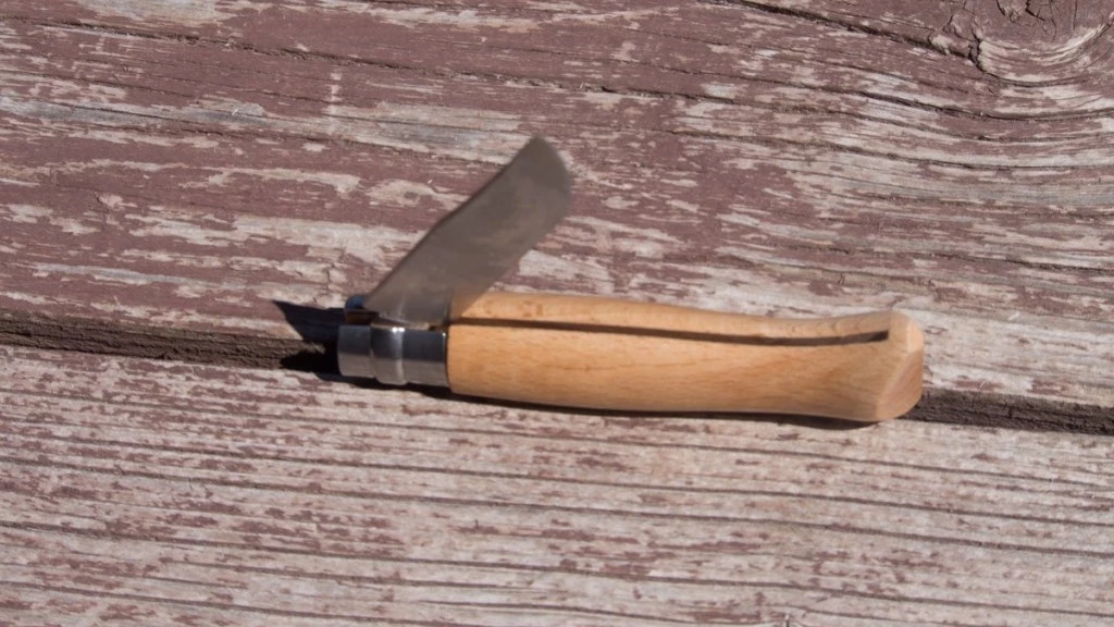 pocket knife - here the &quot;virobloc&quot; ring of the opinel is turned to allow the blade...