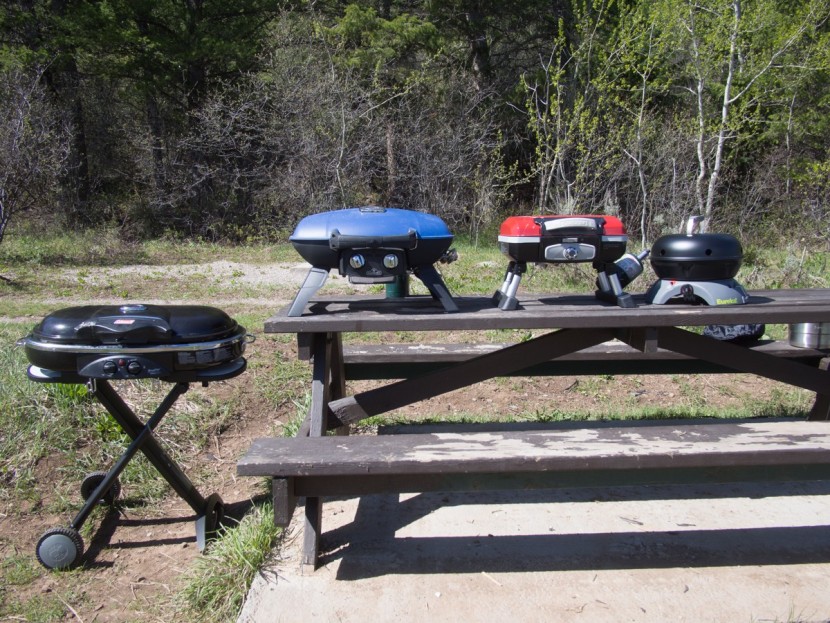 napoleon travelq 285 - tough competition. these are all excellent products, but the...