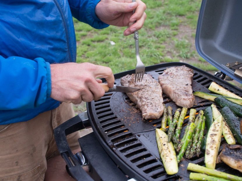 napoleon travelq 285 - the opportunity to heat two different zones on the napoleon allows...