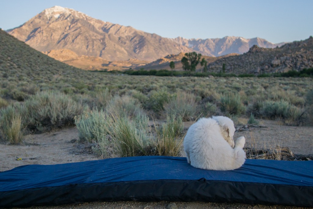 Therm-a-Rest DreamTime Review | Tested by GearLab