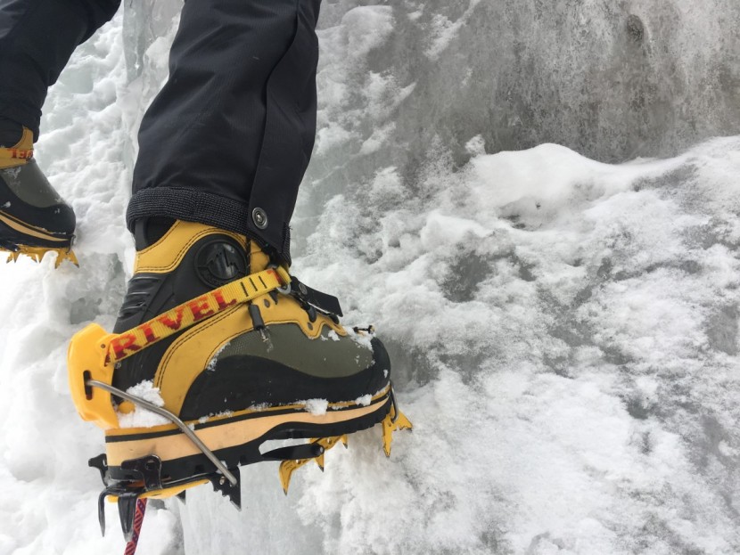 meindl cobra boots