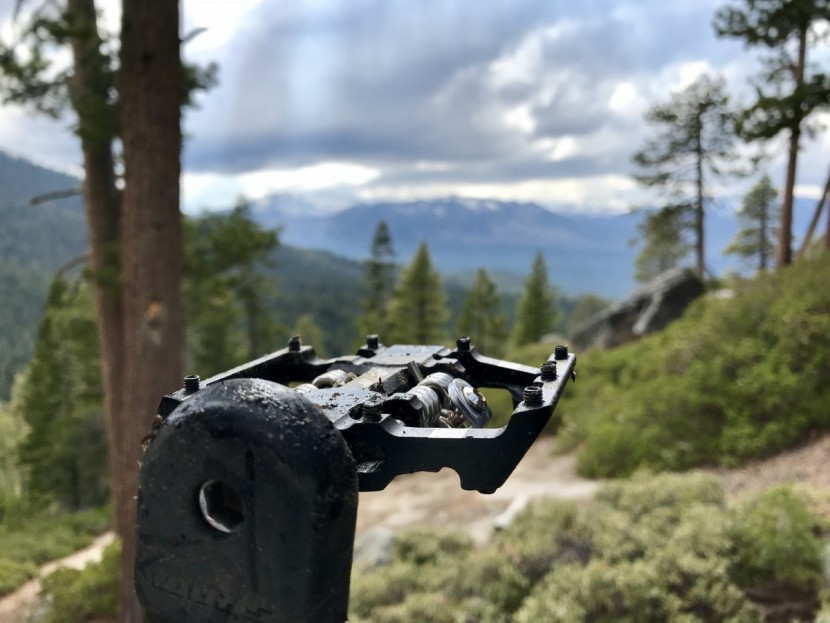 ht components d1 - exceptionally thin and showing some aggressive pins on the flat side.