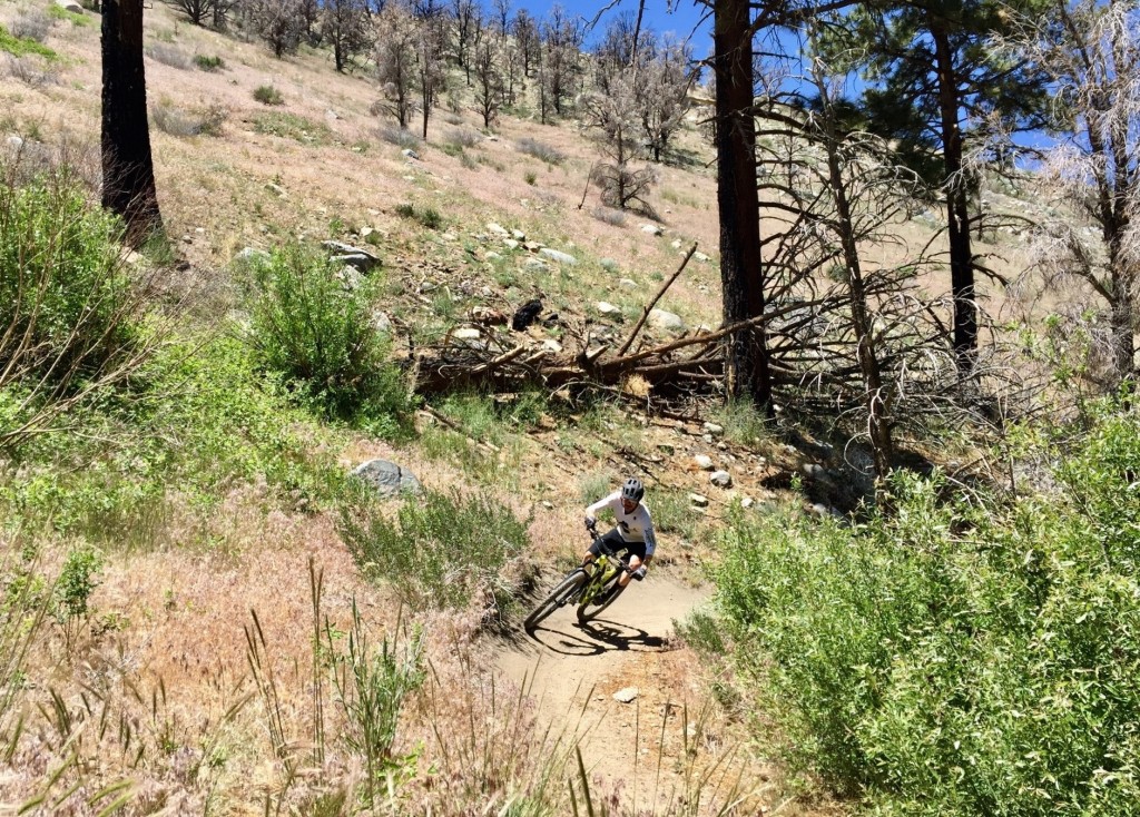 e*thirteen trs plus - the trs+ does its job and doesn't require much thought or service...