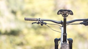 Stumpjumper 2019 online carbon