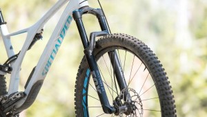 Specialized Stumpjumper Comp Carbon 29 Review Tested by GearLab