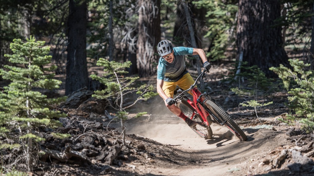 Stumpjumper st deals comp carbon 2019