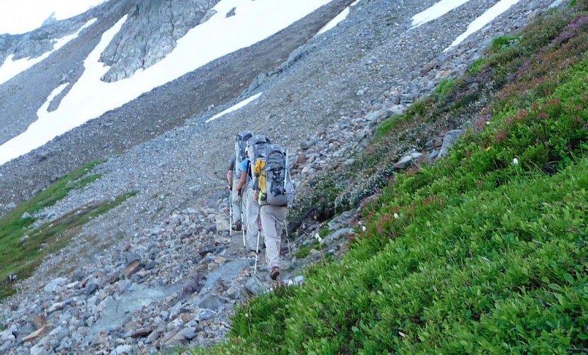 black diamond raven - at 16 oz,  the raven is one of the heavier ice axes in our review...