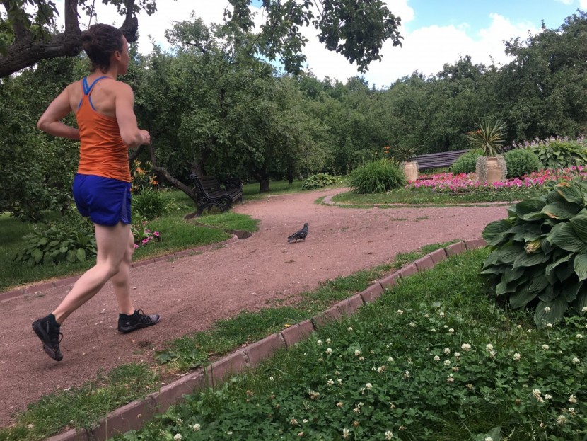 merrell trail glove 4 knit - racing pigeons in kolomenskoye park, moscow, russia.