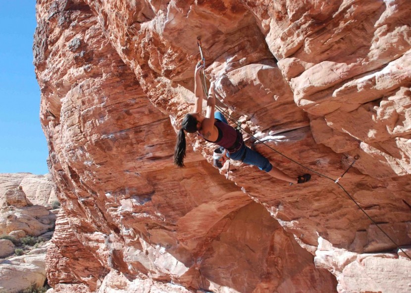 black diamond technician for women - this harness is lightweight and has a slim profile, so you won&#039;t...