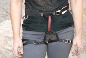 Product photo of Black Diamond Technician - Women's