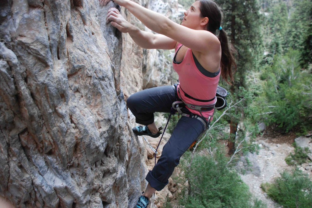 Rock Climbing Harness Review