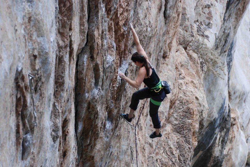 arc'teryx fl-355 for women - this harness is very popular, and also very expensive! it has some...