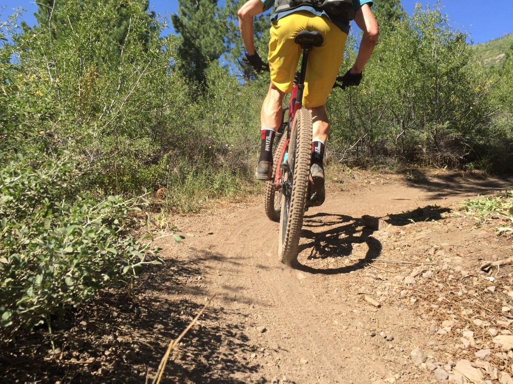 Slaughter clearance grid trail