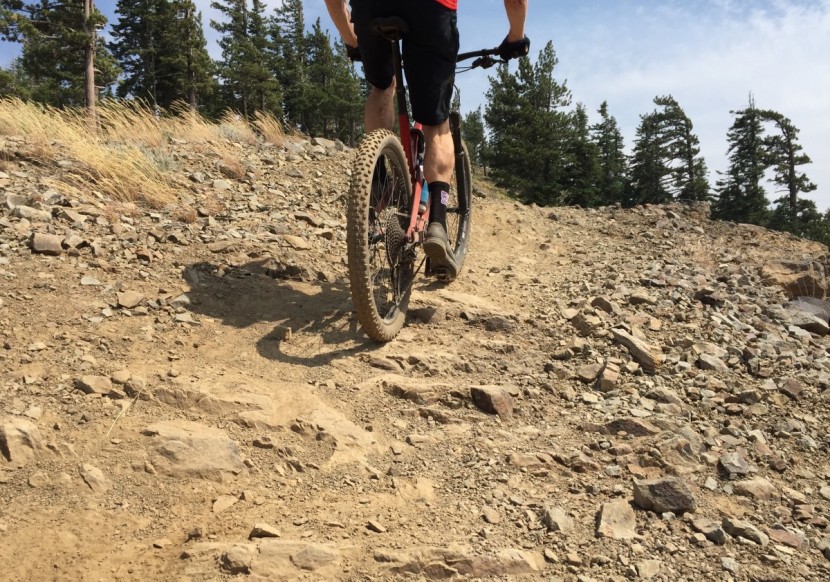 schwalbe nobby nic addix - plenty of pedaling traction on tap with the open spacing of the...