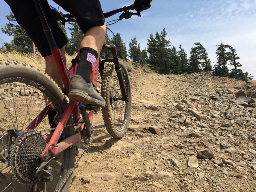 schwalbe magic mary addix - its got loads of pedaling traction, plenty of rolling resistance too.