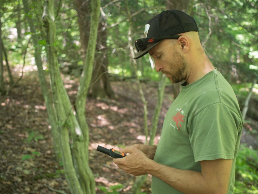 spot x - texting the x in a dense new york forest. all satellite...