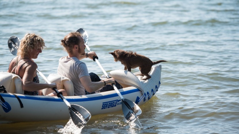 sea eagle 330 - the sea eagle withstood our little dog test!