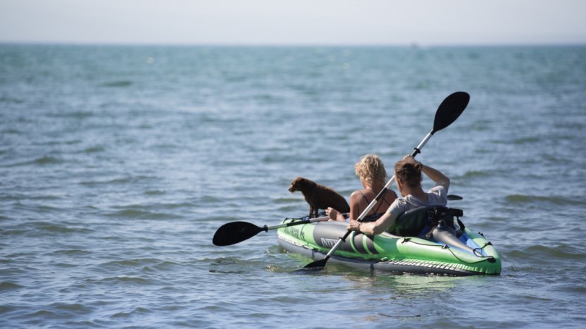 intex challenger k2 - the little dog test didn&#039;t cause the death of this kayak, but we...