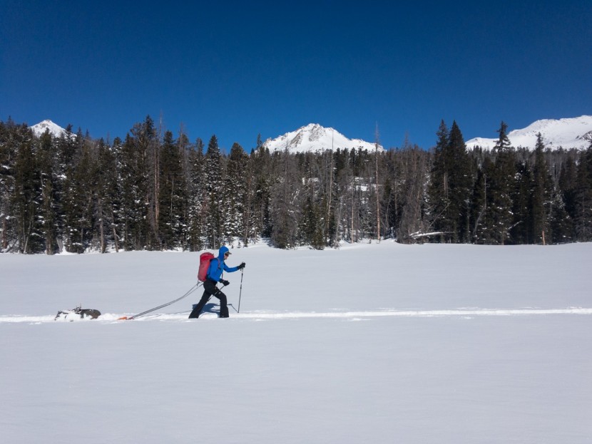 pomoca climb pro mohair - for flatter skinning, the enhanced glide and minimal grip are all...