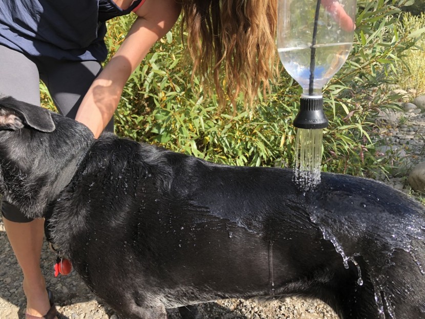 simple shower - dog roll in something dead? rinse it off with the simple shower.