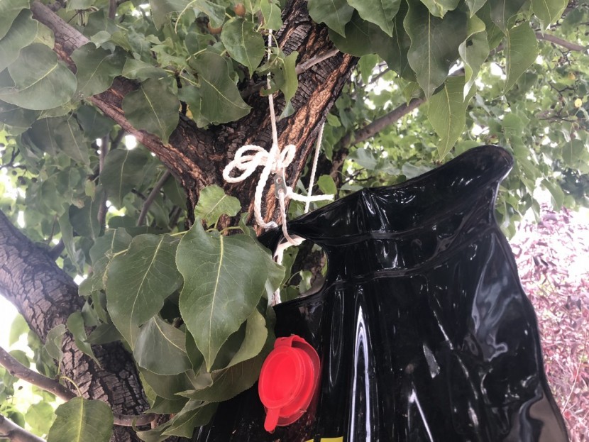 coghlan&#039;s 5-gallon - hanging this shower from its spindly little rope in a tree over your...