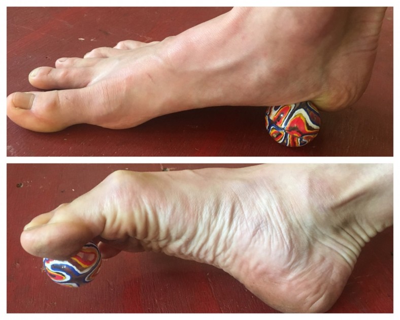 barefoot shoes womens - the large bouncy ball is one of our favorite foot strengthening...