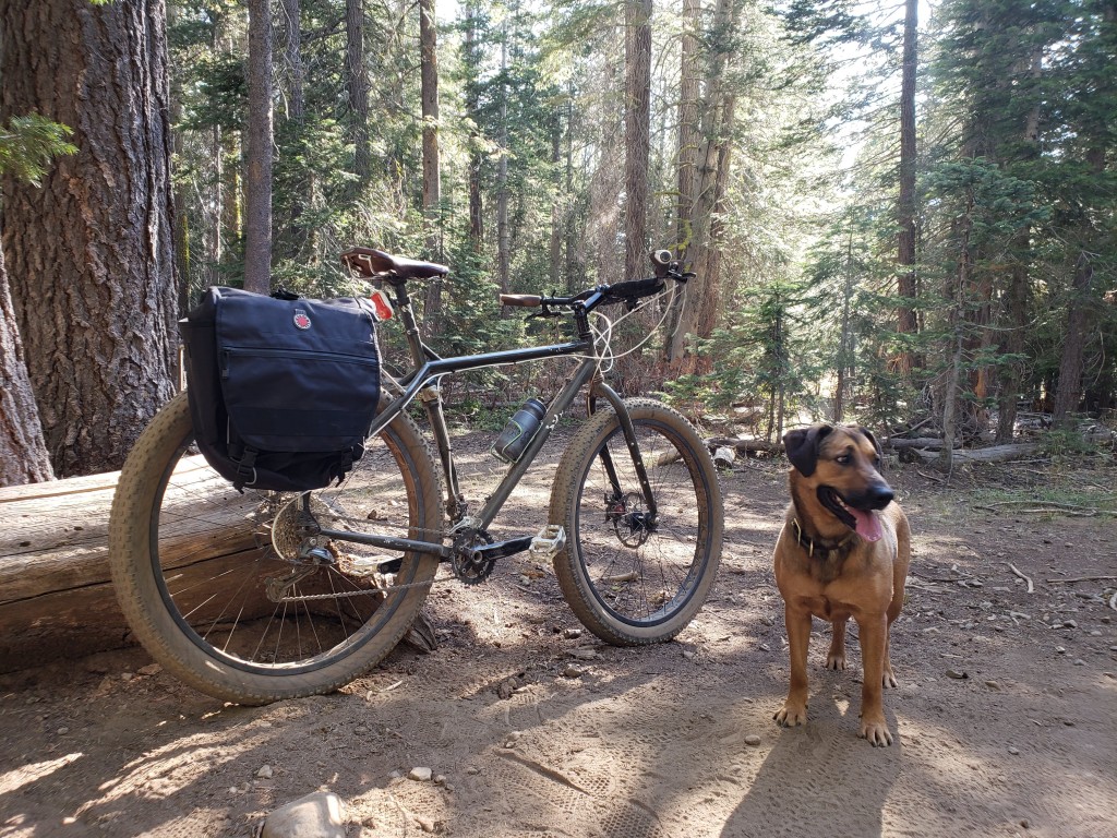 Banjo brothers on sale backpack pannier