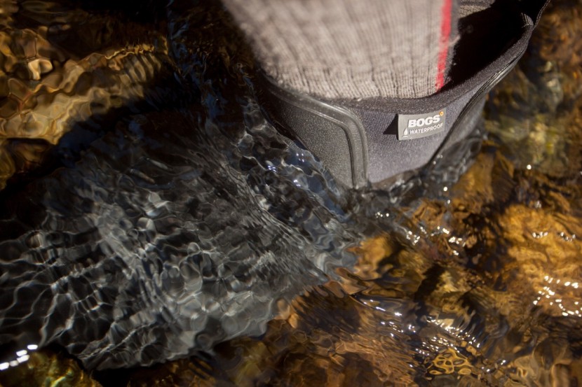 bogs carson - if we don&#039;t make any sudden movements we might get out dry...