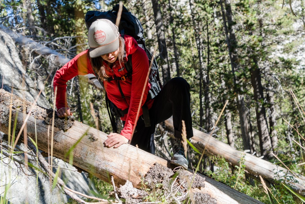 hiking boots womens - negotiating downed trees in the quest 4d 3 was a challenge due to...