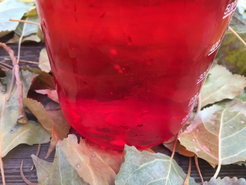 katadyn micropur mp1 - the small tablet at work. katadyn recommends storing your bottle in...