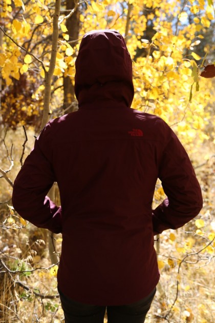 back view of the outer shell. it's form-fitting, but not...