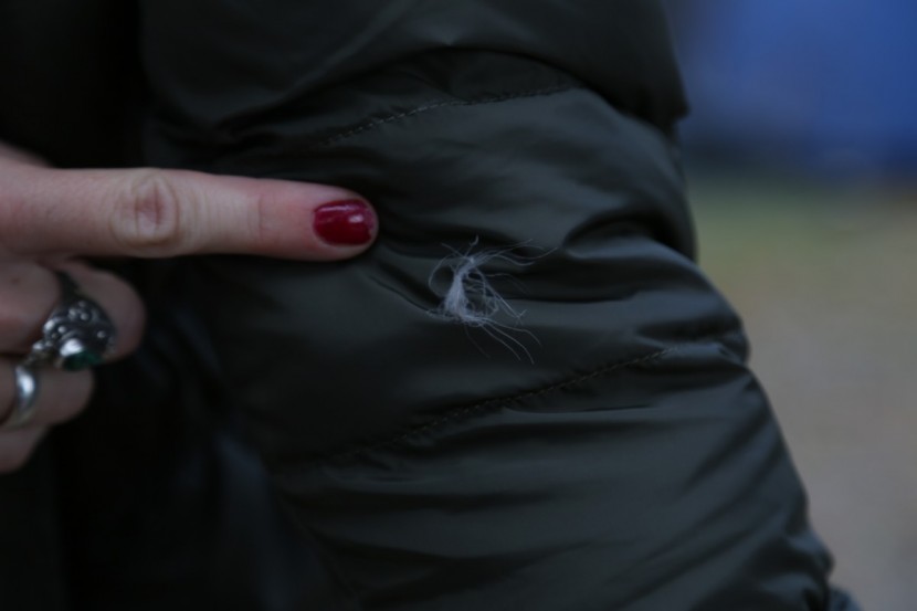 the north face gotham jacket ii for women - we experienced some feathers escaping at the seams, but it wasn&#039;t...