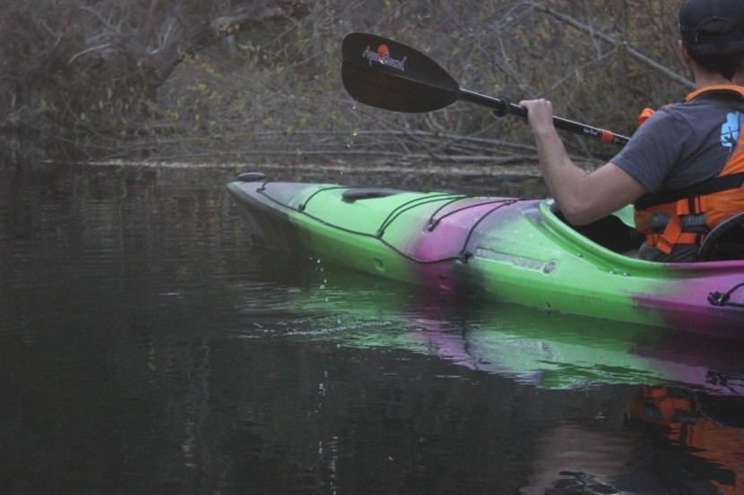 aqua-bound sting ray carbon - thanks to the carbon shaft and carbon blend paddles, weight of this...