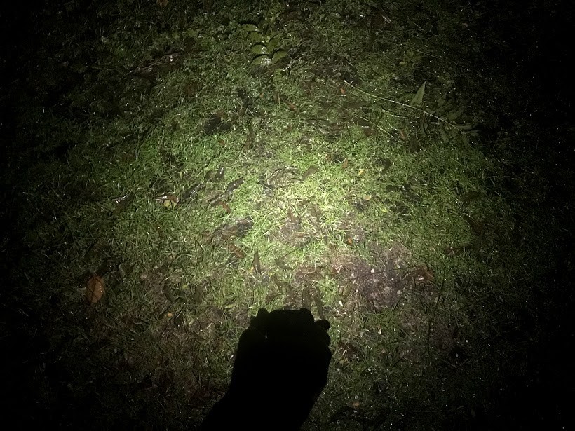 lantern - this model also comes with the option of converting the light output...