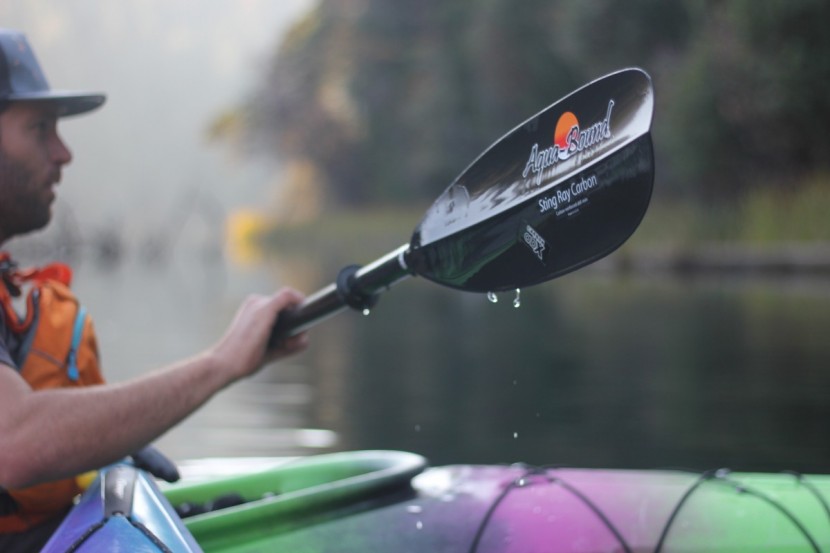 kayak paddle - an asymmetrical dihedral blade shape is favored by touring kayakers.
