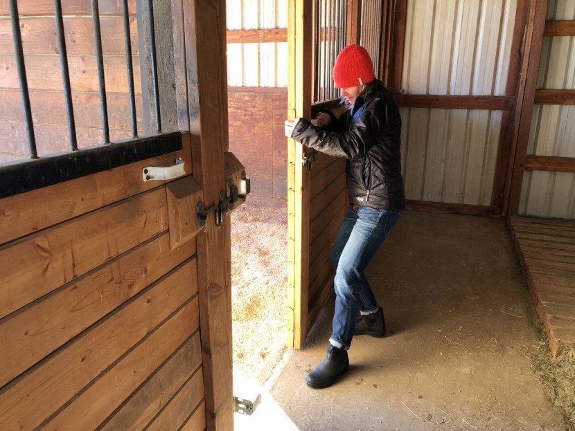 blundstone thermal for women - the blundstone boot is great for winter chores but isn&#039;t the warmest...