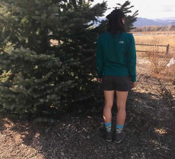 the north face aphrodite 2.0 short