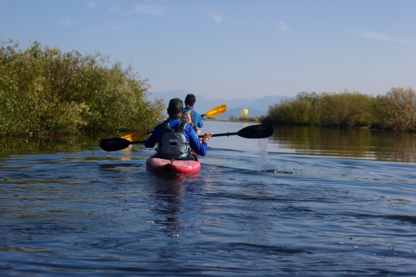 kayak paddle - different styles of kayakers prefer low angle or kayak angle...