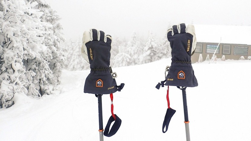 Army Leather Gore-Tex - 3 finger - Black | Hestra Gloves
