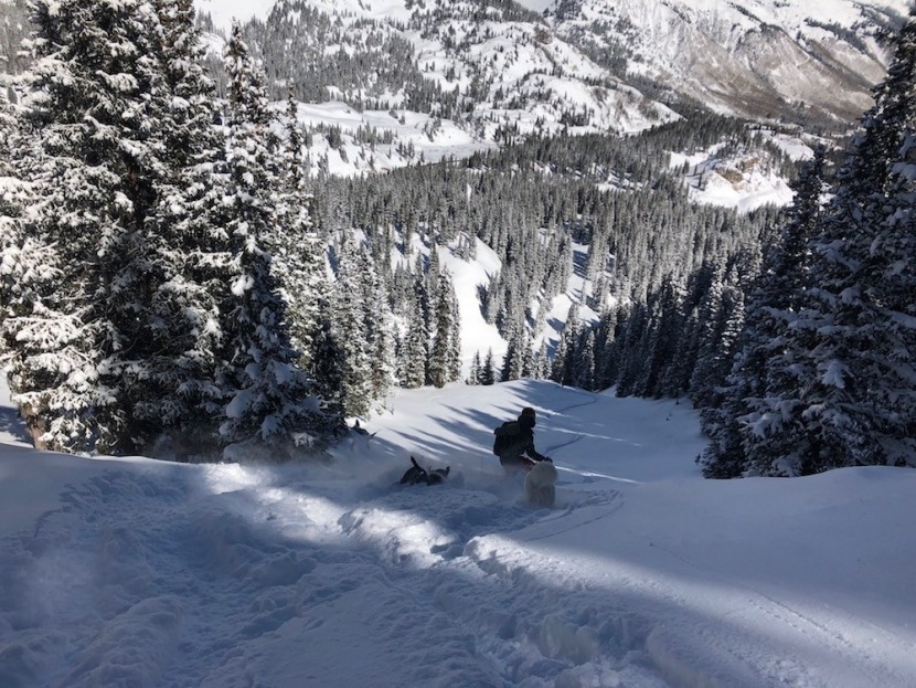 outdoor research alti mitt for women - crush the powder on your favorite ski run with the warmest mitten...