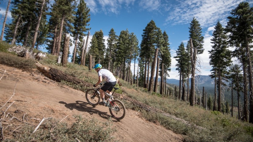 giant trance 3 - giant&#039;s maestro suspension design results in a good pedaling...