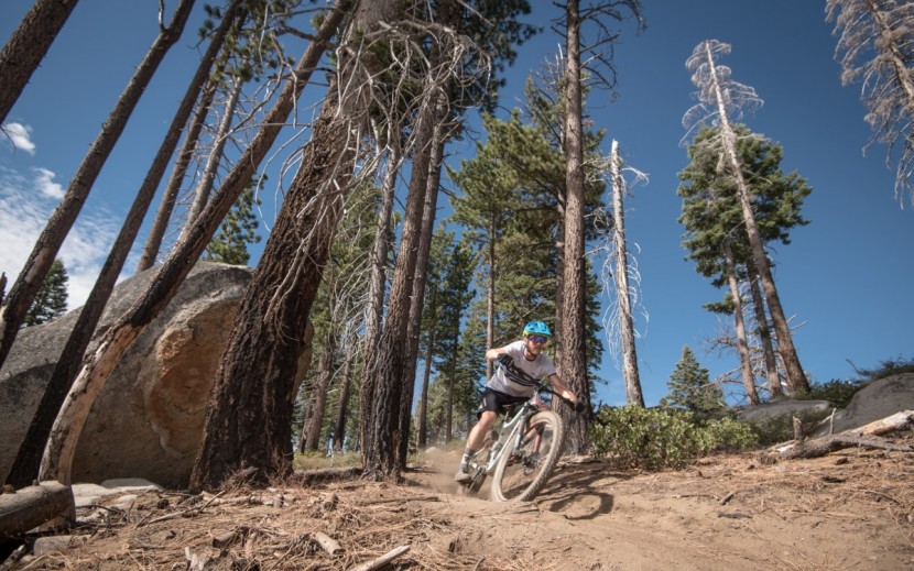 Giant Trance 3 Review | Tested & Rated