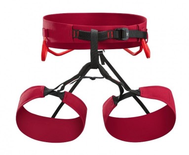 Product photo of Arc'teryx FL-365