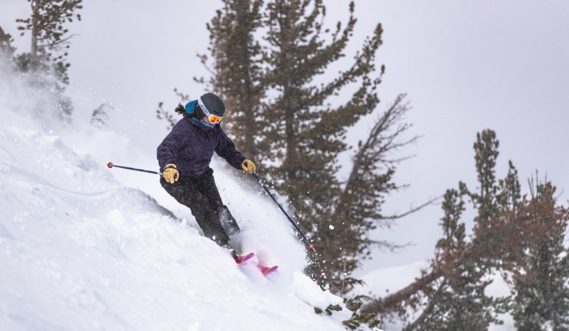 black crows camox birdie - the black crows can handle choppy conditions pretty well, but you do...