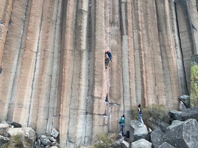 locking carabiner - lockers are useful for any style of climbing, even single pitch...